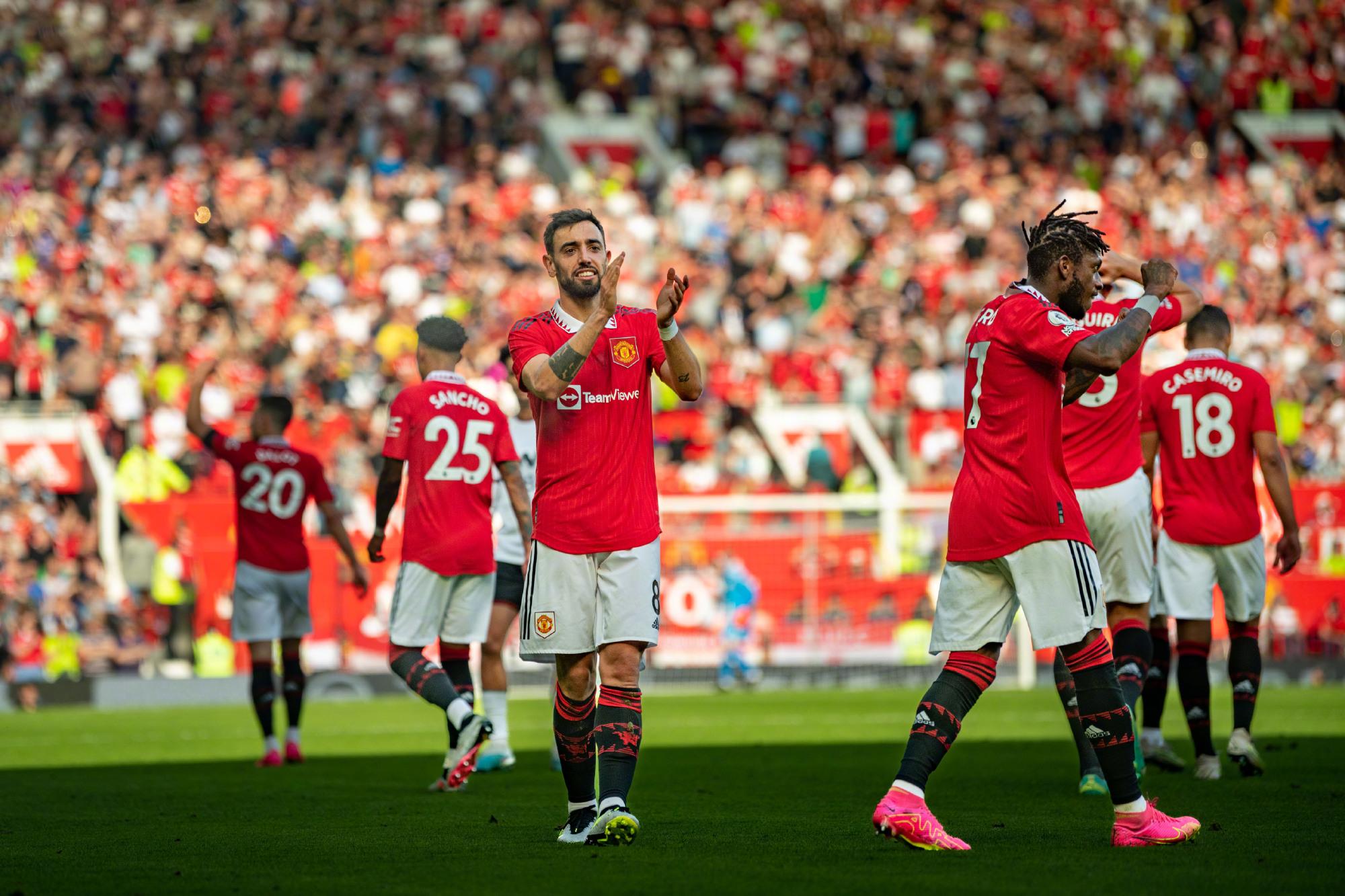 择的发展平 择的发展平